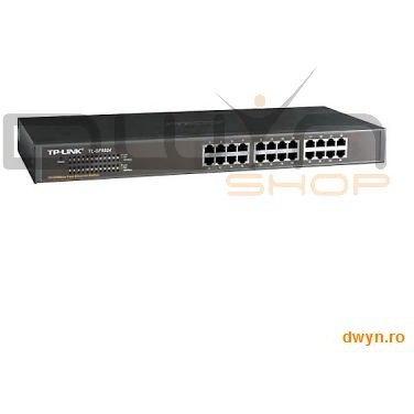 Switch 24 Port-uri 10/100, carcasa metalica 1U 19-inch