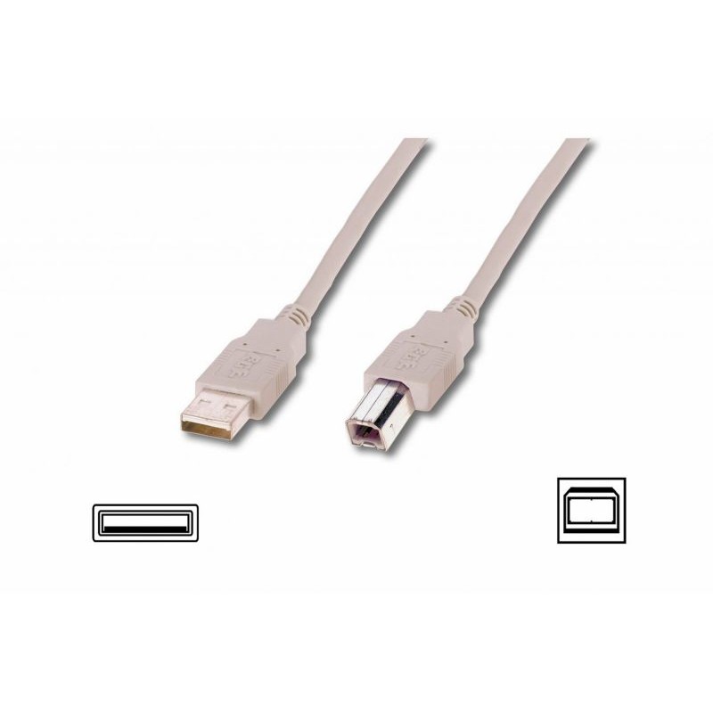 Cable USB2,0 A m / B m dl.1,8m - beige
