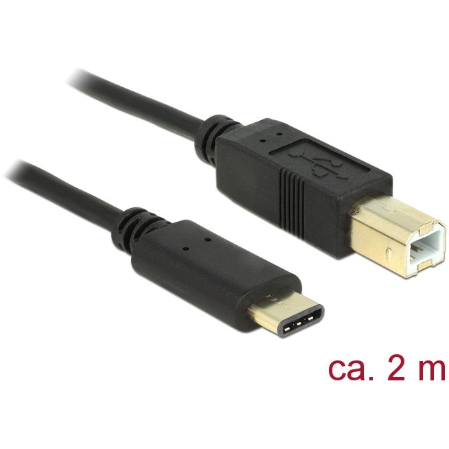 Delock Cable USB Type-C 2.0 male > USB 2.0 Type-B male 2m black