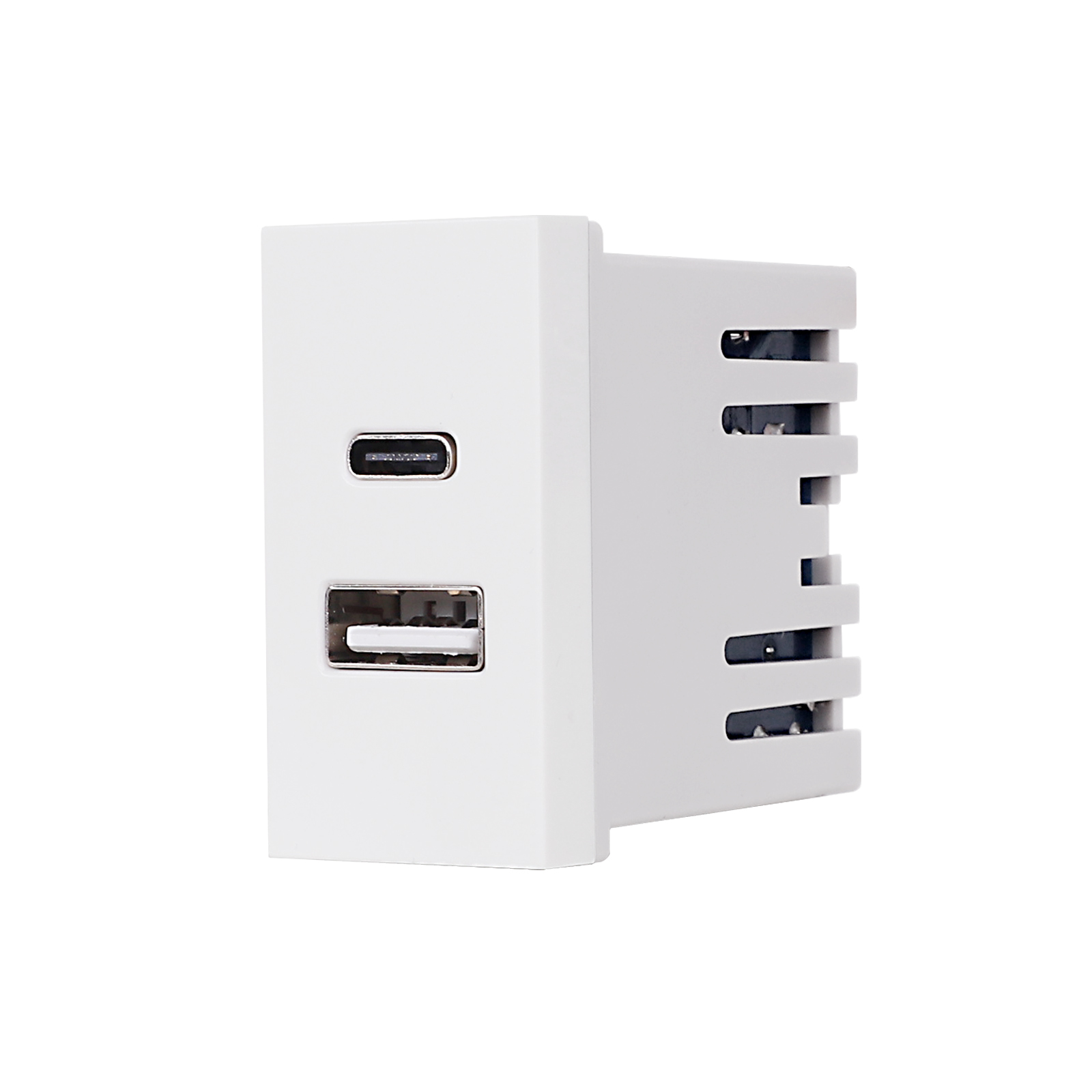 Modul Priza USB A+C 1M LUXION, Standard Italian