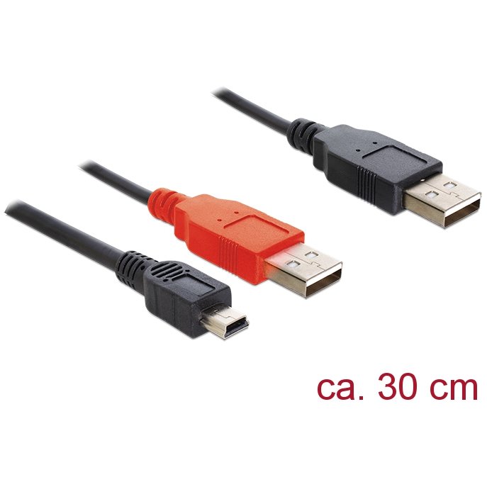 Delock Cable 2 x USB 2.0-A male > USB mini 5-pin, 0.3m
