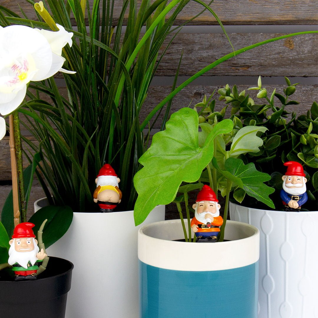 Decoratiuni pentru Ghivece - Naughty Gnomes