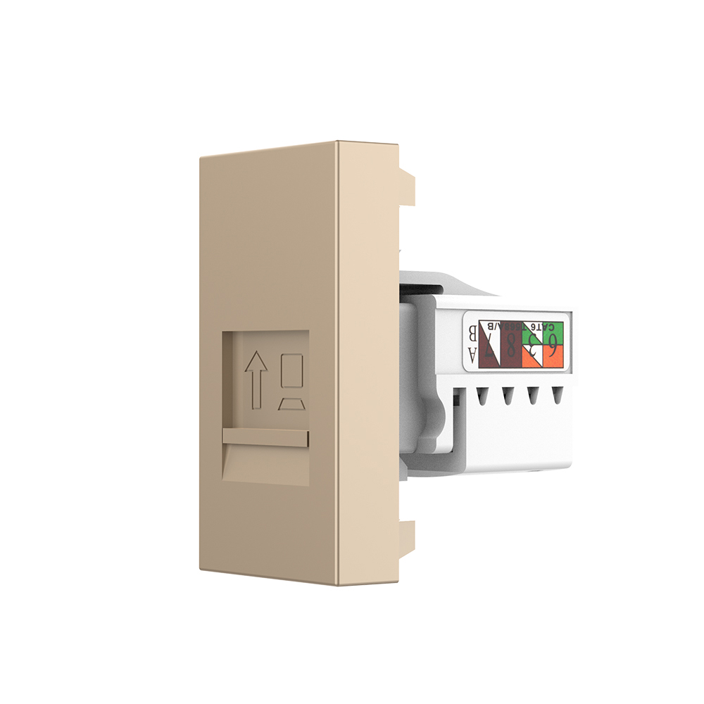 Modul priza retea RJ45 Livolo VL-FCCP-1AP, policarbonat, auriu
