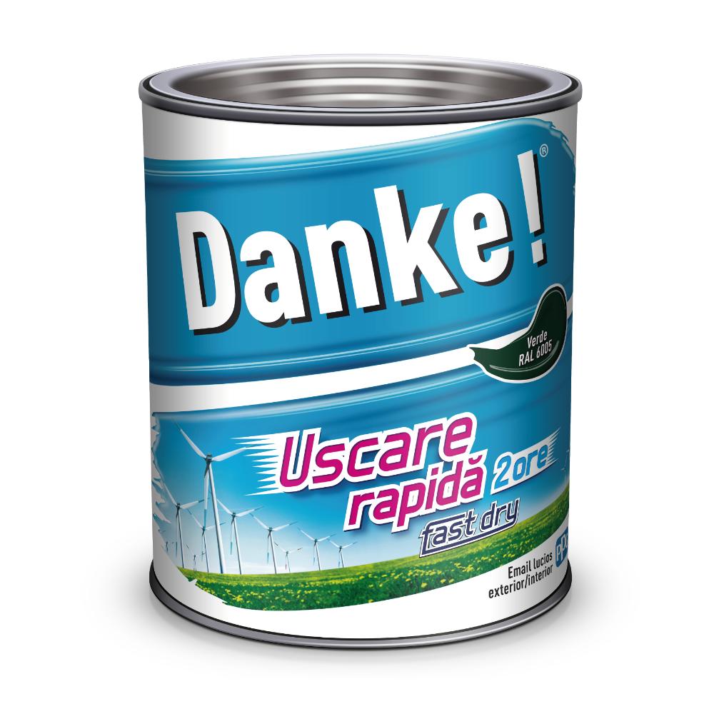 Email Danke Uscare Rapida, pentru lemn, metal, zidarie, exterior/interior, verde RAL 6005, 4 l
