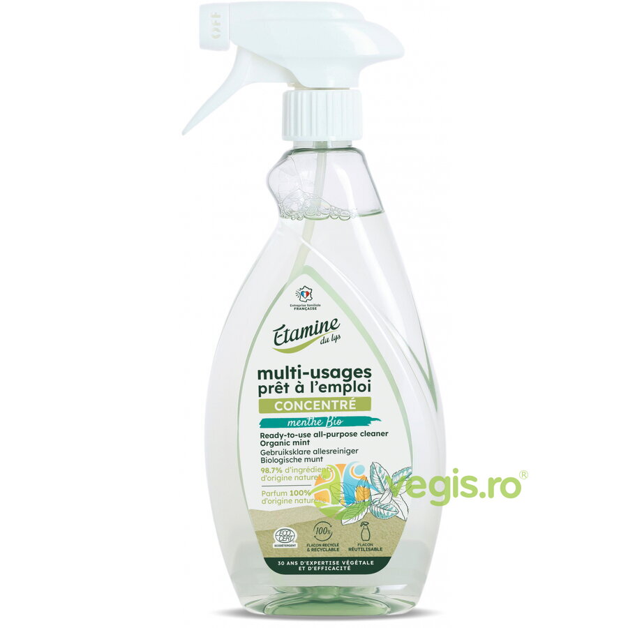 Spray Eco Multifunctional cu Parfum de Menta fara Clatire 500ml