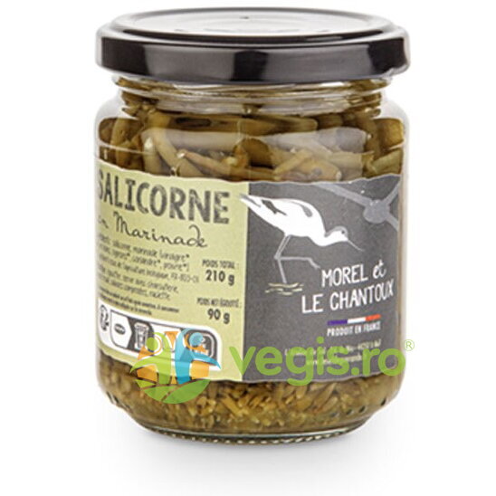 Sparanghel de Mare in Saramura 210g