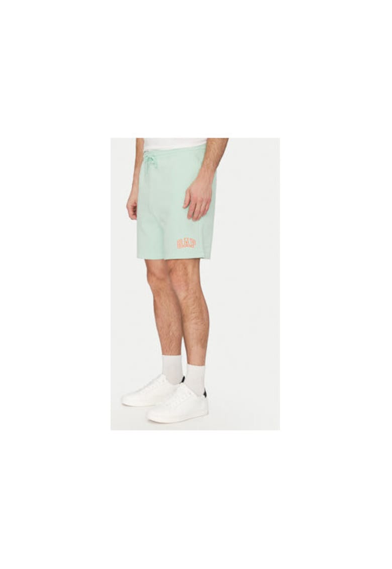 Pantaloni scurti sport barbati  703989-01 - Bumbac /Poliester reciclat - 46794 - Verde