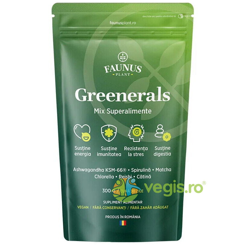 Greenerals Pudra Superaliment pentru Energie si Vitalitate 300g