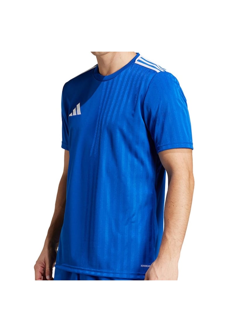 Tricou  Campeon 25 barbati - Albastru