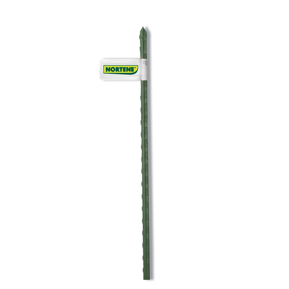 Tutor pentru plante Nortene, otel acoperit cu plastic, verde, Ø16 mm, 210 cm
