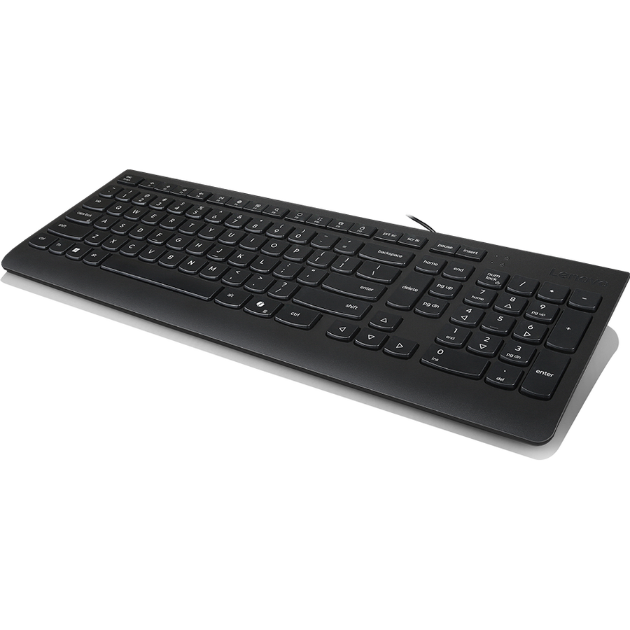 Tastatura Standard cu Fir 300 USB Layout US English Negru