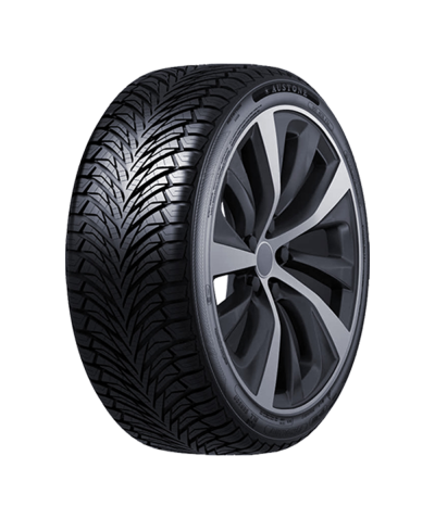 AUSTONE FIXCLIME SP401 225/65R17 106 V XL