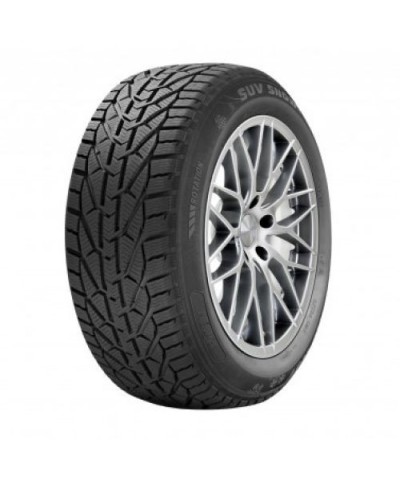 SEBRING SNOW 205/55R16 91T